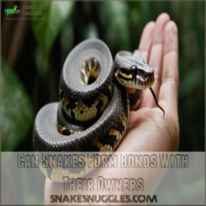 Can Snakes Form Bonds With Their Owners