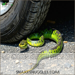 Can Snakes Survive Being Run Over