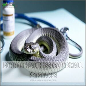 Common Health Issues in Small Pet Snakes