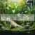 Image showcasing Common Reptile Skin Issues: Causes, Symptoms, and Effective Treatments