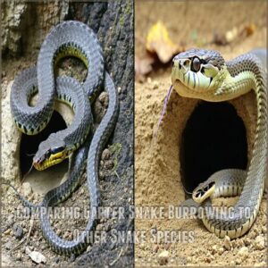 Comparing Garter Snake Burrowing to Other Snake Species