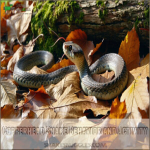 Copperhead Snake Behavior and Activity