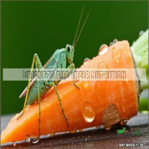 Crickets and Their Nutrition