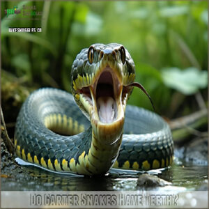 do garter snakes have teeth