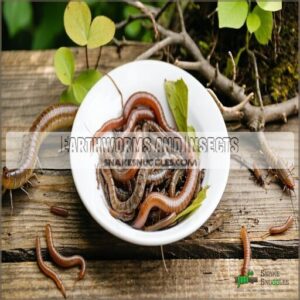 Earthworms and Insects