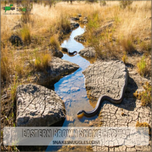 Eastern Brown Snake Habitat