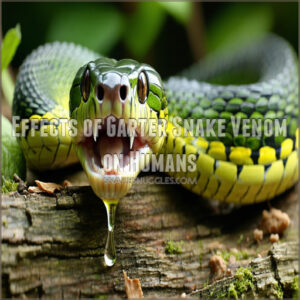 Effects of Garter Snake Venom on Humans