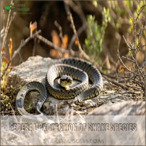 Federal Protection of Snake Species