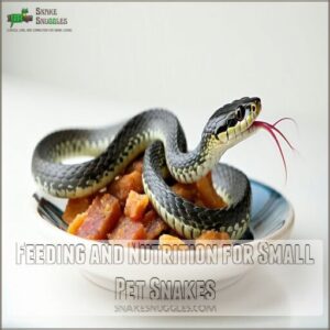 Feeding and Nutrition for Small Pet Snakes