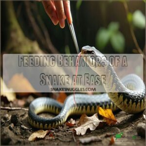 Feeding Behaviors of a Snake at Ease