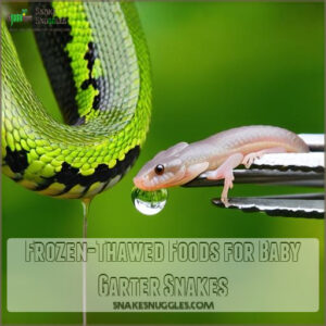 Frozen-Thawed Foods for Baby Garter Snakes