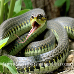 Garter Snake Behavior and Aggression