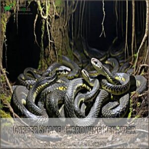 Garter Snake Burrowing Behavior