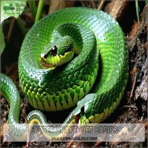 Garter Snake Diet Basics