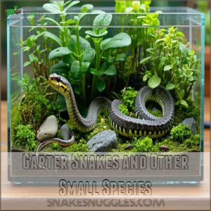 Garter Snakes and Other Small Species