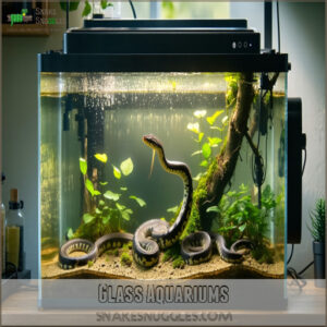 Glass Aquariums