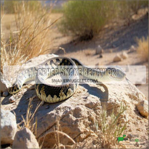 Gopher Snake Behavior