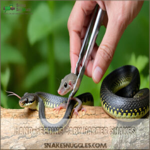 Hand-Feeding Baby Garter Snakes