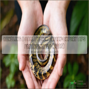 handling a ball python safely