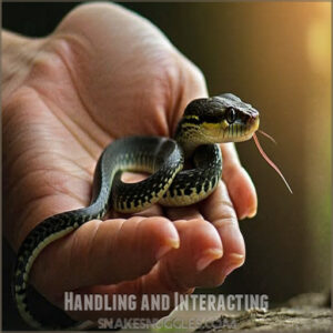 Handling and Interacting