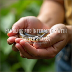 Handling and Interacting With Garter Snakes