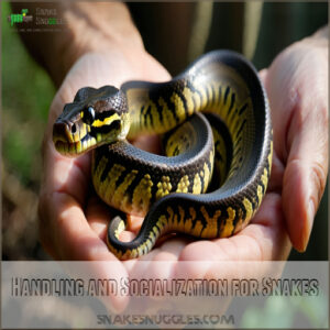 Handling and Socialization for Snakes