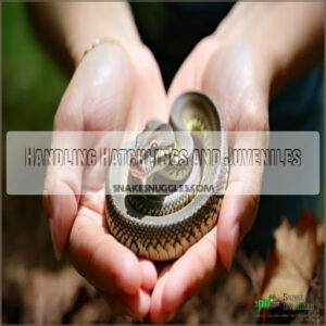 Handling Hatchlings and Juveniles