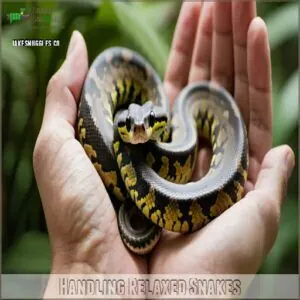 Handling Relaxed Snakes Handling Relaxed Snakes