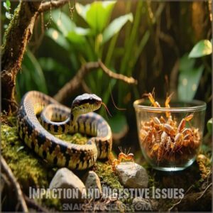 Impaction and Digestive Issues