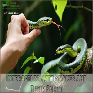 Interacting With Snakes and Their Scent