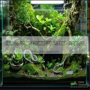 Introducing Springtails and Isopods