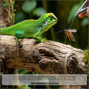 Lizard Handling and Training