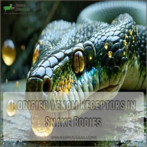 Modified Venom Receptors in Snake Bodies