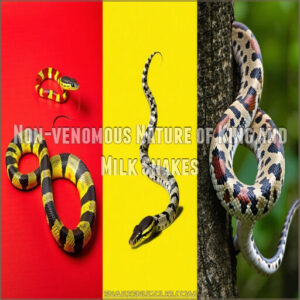 Non-venomous Nature of King and Milk Snakes