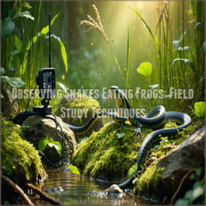 Observing Snakes Eating Frogs: Field Study Techniques