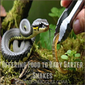 Offering Food to Baby Garter Snakes