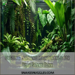 Ongoing Care and Maintenance for Your Snake Tank