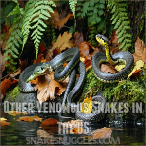 Other Venomous Snakes in The US