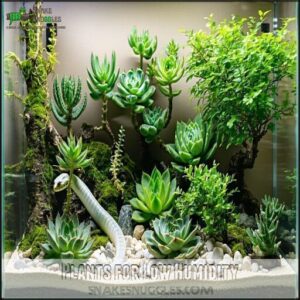 Plants for Low Humidity