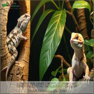 Popular Pet Lizard Species