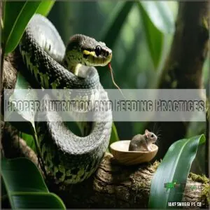 Proper Nutrition and Feeding Practices Proper Nutrition and Feeding Practices