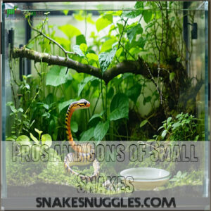 Pros and Cons of Small Snakes