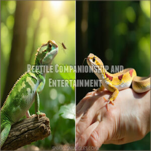 Reptile Companionship and Entertainment