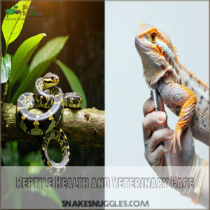 Reptile Health and Veterinary Care