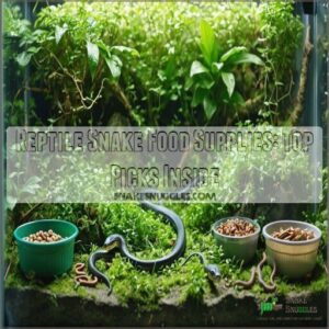 reptile snake food supplies