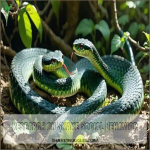 Research on Snake Social Behavior