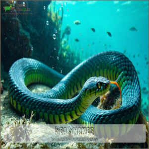 Sea Snakes