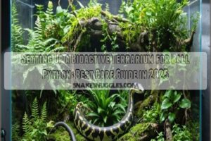 setting up a bioactive terrarium for ball python