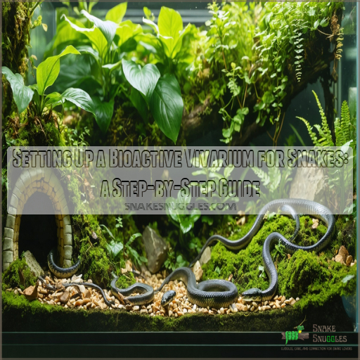 setting up a bioactive vivarium for snakes