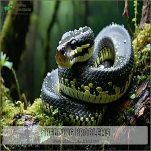 Shedding Problems Shedding Problems